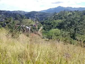Land for Sale in Ella