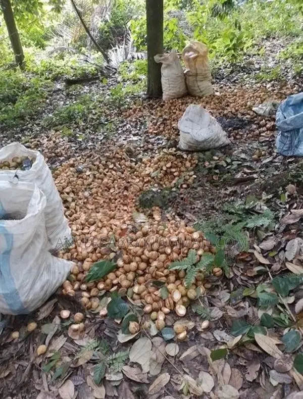 34 P Land For Sale Mawathupola Alawathugoda Akurana