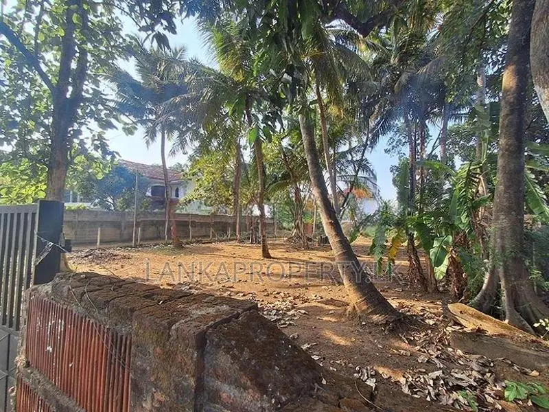Valuable Land with Basic House for Sale in Bowalawatte, Waikkal.