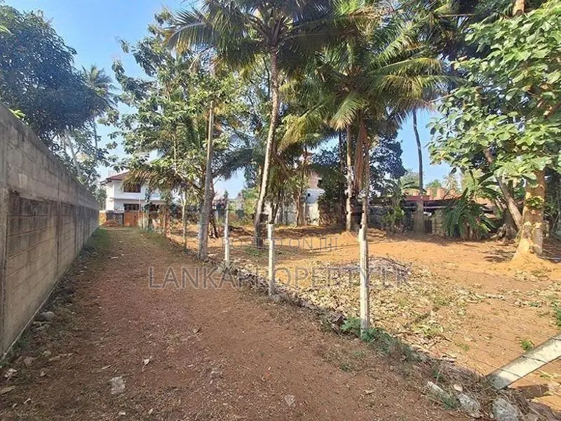 Valuable Land with Basic House for Sale in Bowalawatte, Waikkal.