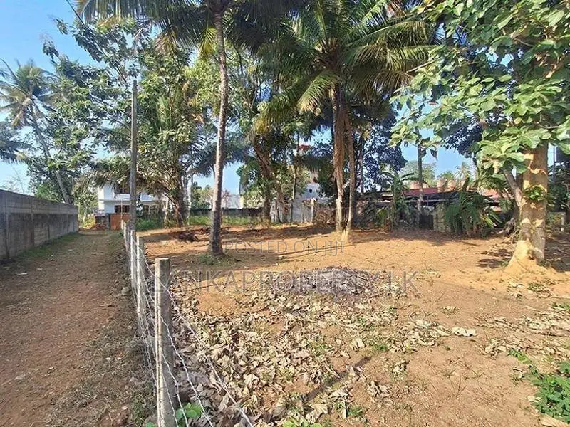 Valuable Land with Basic House for Sale in Bowalawatte, Waikkal.