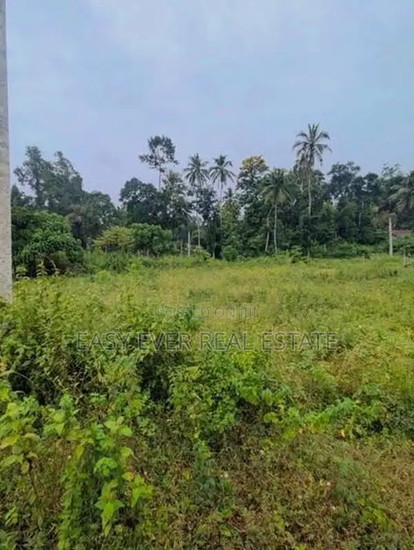 කළුඅග්ගල , ගිණිදම්මන පර්චස් 12.7 /12.5 කොටස් දෙකක්