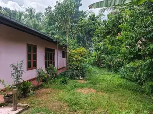 වේයන්ගොඩ – මල්හැව ඉඩම සමඟ නිවසක්