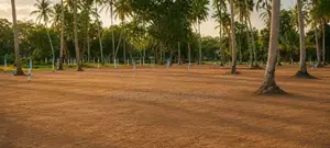 Land for Sale in Padeniya ,Wariyapola A1