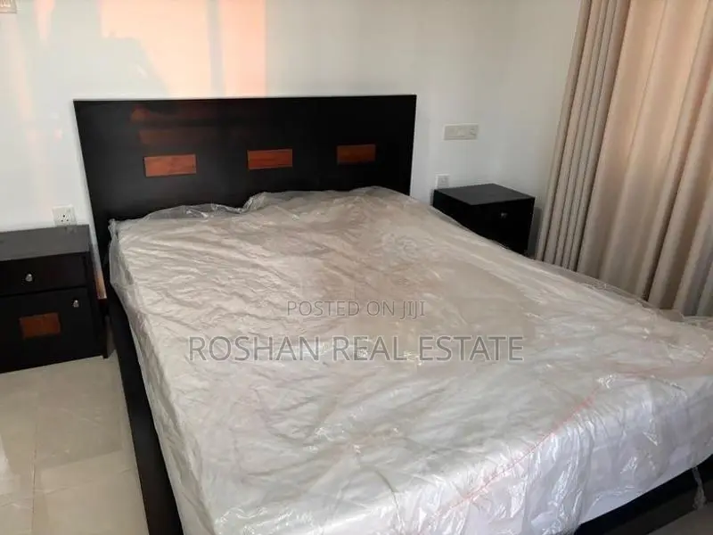 MODERN FULLY FURNISHED APARTMENT FOR RENT COLOMBO 3 SN3174