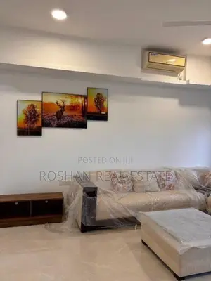 MODERN FULLY FURNISHED APARTMENT FOR RENT COLOMBO 3 SN3174