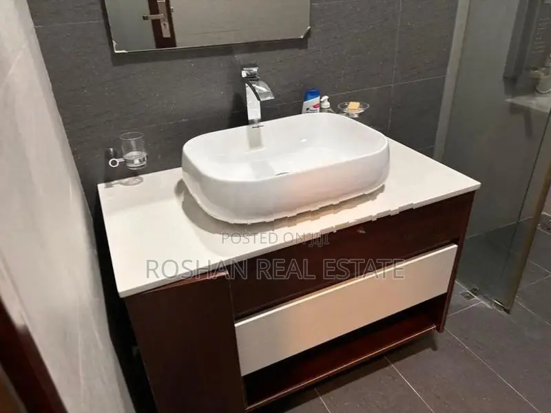 MODERN FULLY FURNISHED APARTMENT FOR RENT COLOMBO 3 SN3174