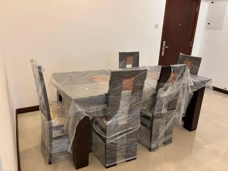 MODERN FULLY FURNISHED APARTMENT FOR RENT COLOMBO 3 SN3174