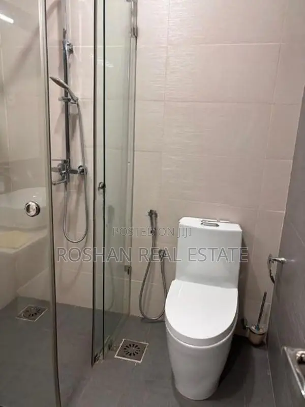 MODERN FULLY FURNISHED APARTMENT FOR RENT COLOMBO 3 SN3174