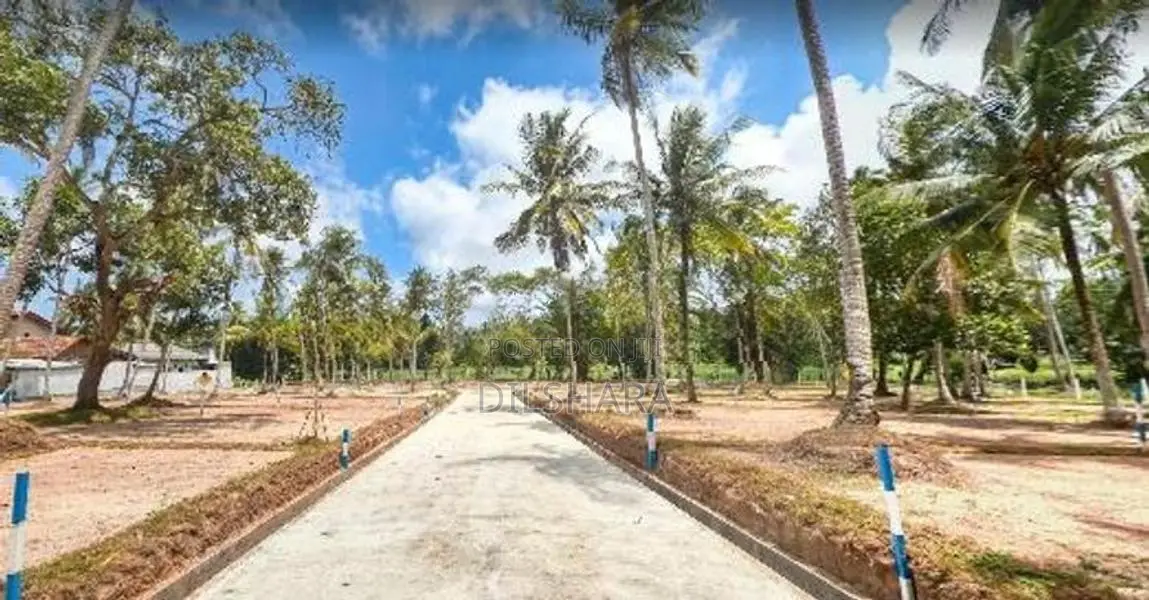 Best Tourism Land Talalla Beach