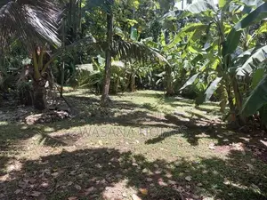 Super Land for Sale Maharagama
