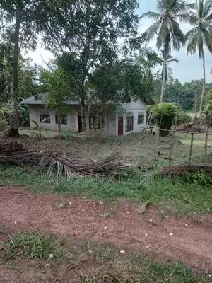 Land For Sale Divulapitiya