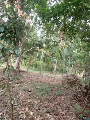 Land For Sale Divulapitiya