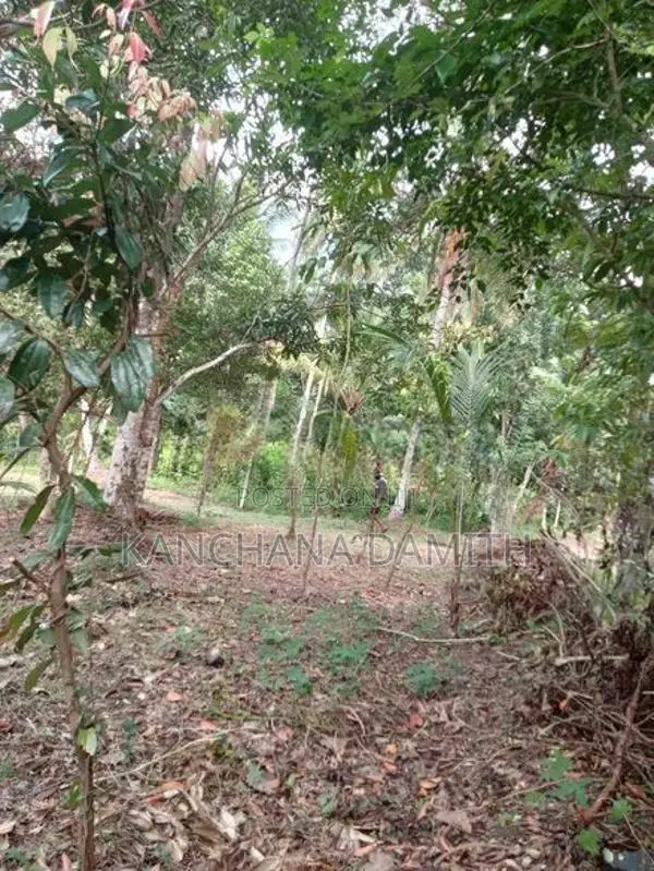 Land For Sale Divulapitiya