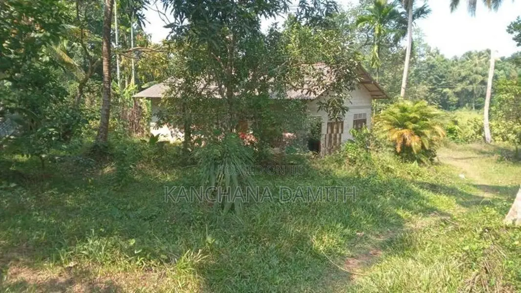 Land For Sale Divulapitiya