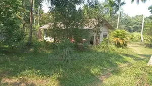 Land For Sale Divulapitiya