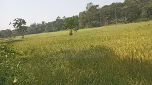 Land For Sale Divulapitiya