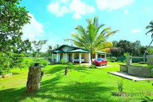 Facing Paddy field |Eco-friendly House for sale in Bandaragama