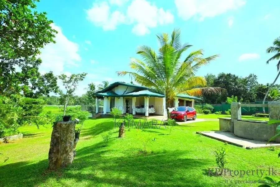 Facing Paddy field |Eco-friendly House for sale in Bandaragama
