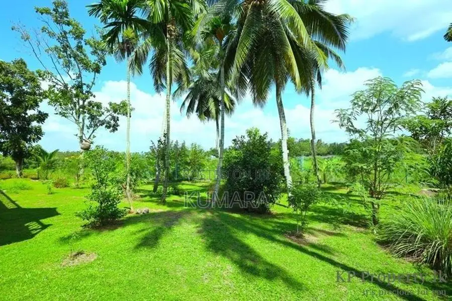 Facing Paddy field |Eco-friendly House for sale in Bandaragama