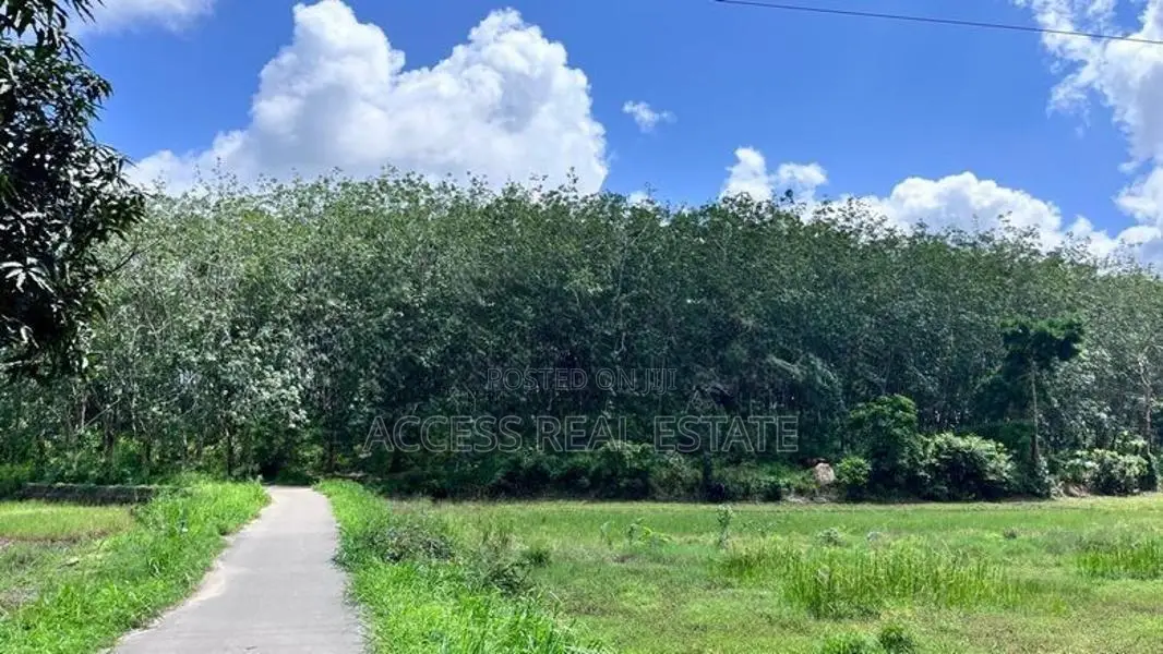 Land for sale in Denipitiya, Matara