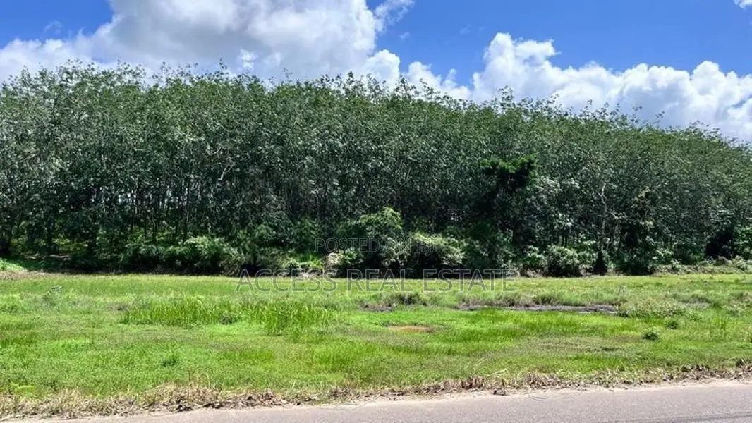 Land for sale in Denipitiya, Matara