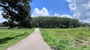 Land for sale in Denipitiya, Matara