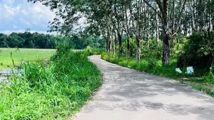 Land for sale in Denipitiya, Matara