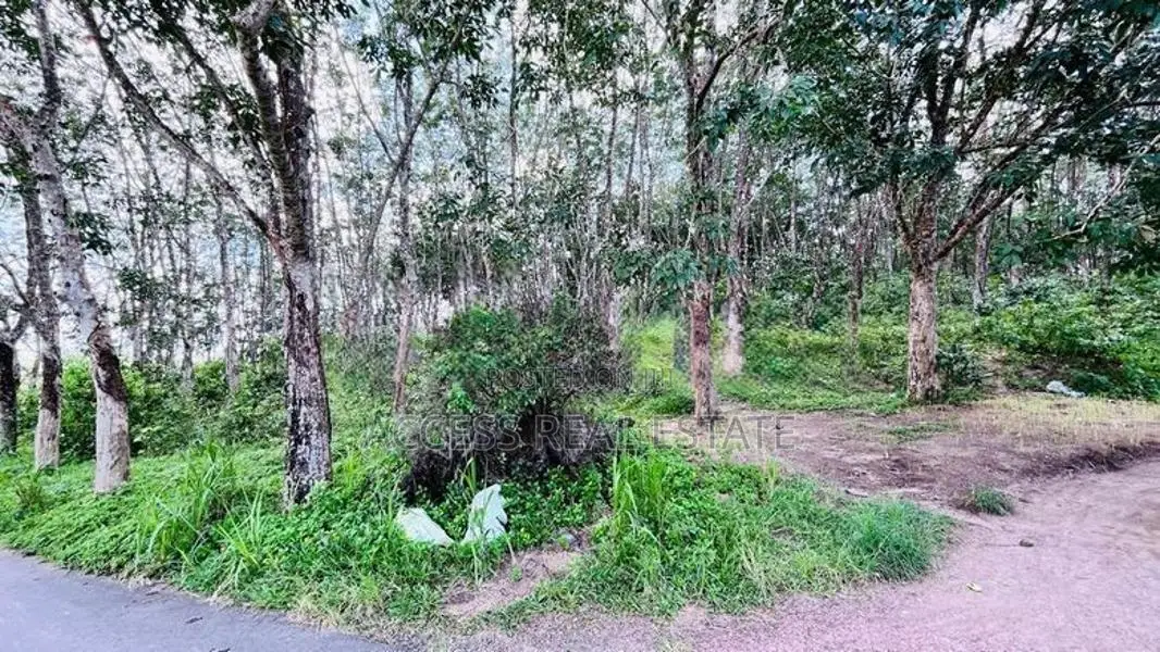Land for sale in Denipitiya, Matara