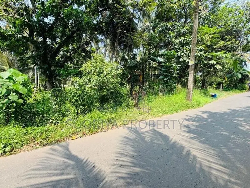 Commercial / Residential Land for Sale in Piliyandala Dampe