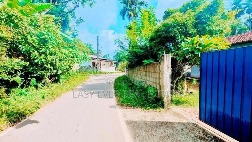 කිරිවත්තුඩුව - තලගල නිස්කලංක පරිසරයක පිහිටි නිවස සහ ඉඩම විකිණීමට