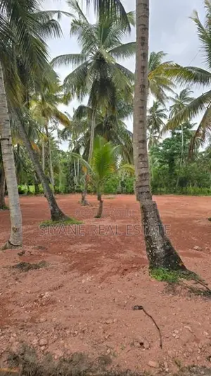 Prime Land for Sale in Madampe – Facing Dummalasuriya Road