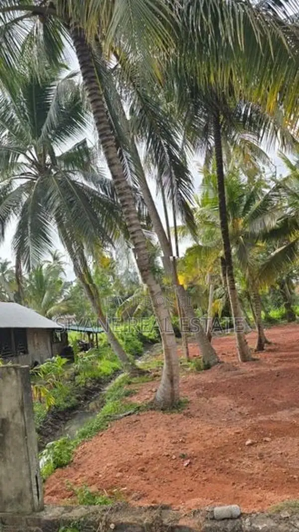 Prime Land for Sale in Madampe – Facing Dummalasuriya Road