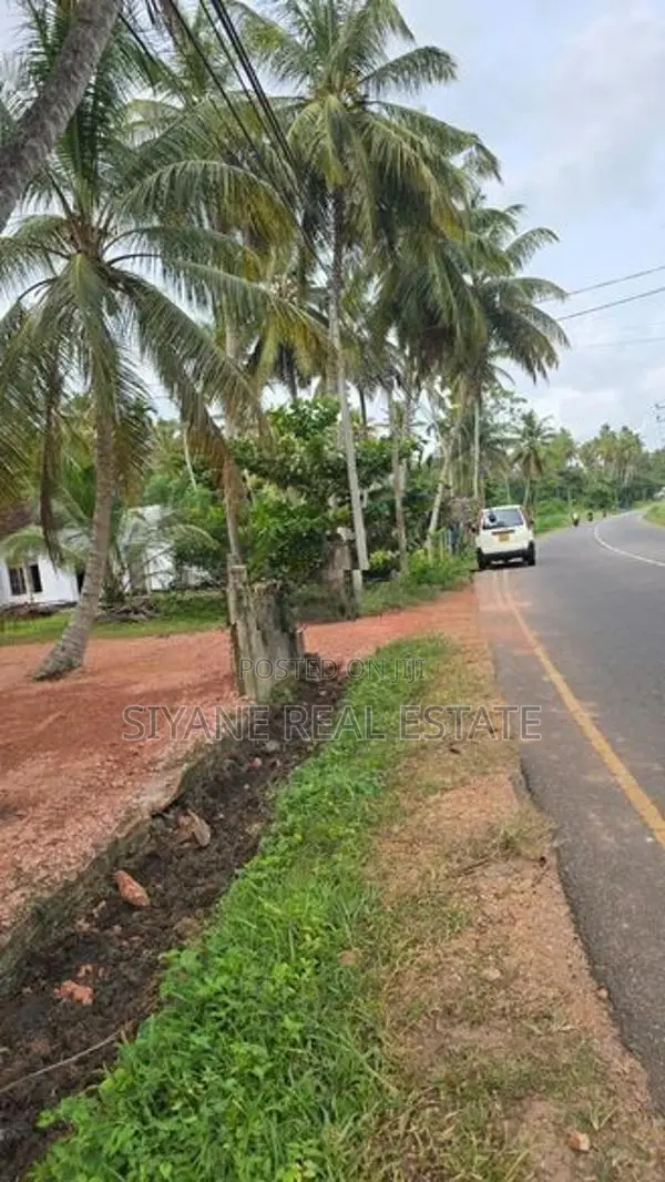 Prime Land for Sale in Madampe – Facing Dummalasuriya Road