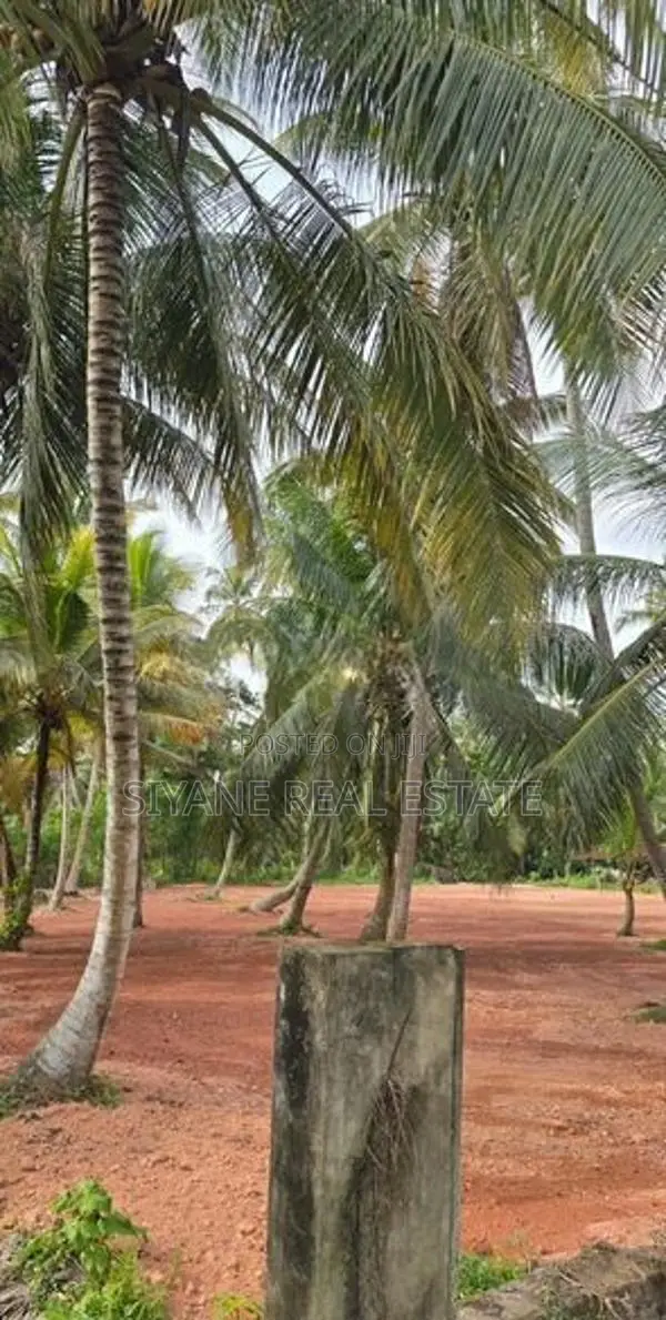 Prime Land for Sale in Madampe – Facing Dummalasuriya Road