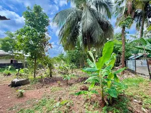 පිළියන්දල පදිංචියට වටිනා ඉඩමක් වහාම විකිණීමට