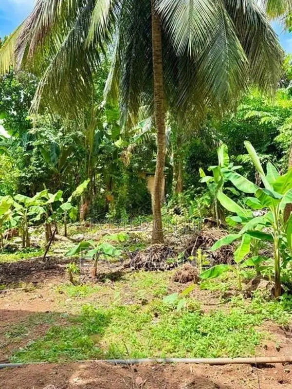 පිළියන්දල පදිංචියට වටිනා ඉඩමක් වහාම විකිණීමට