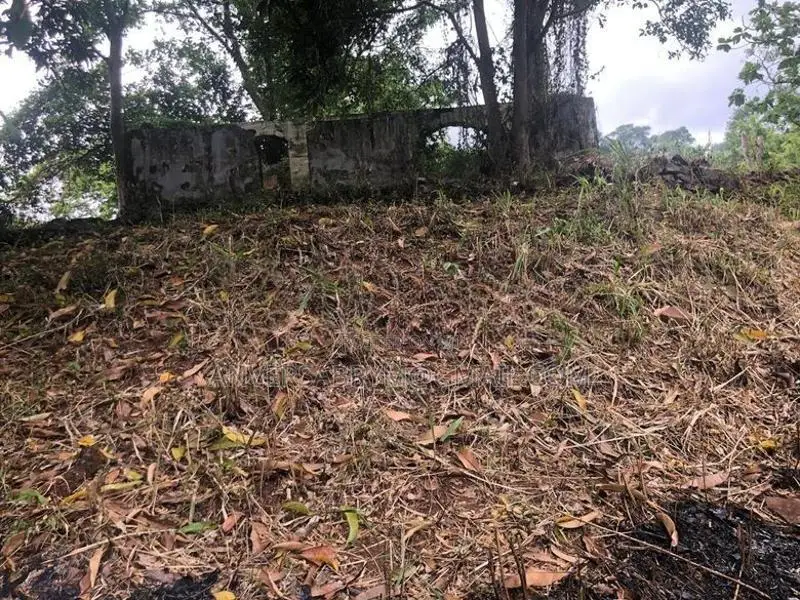 34 P Land for Sale at Tower Road Wariyappola