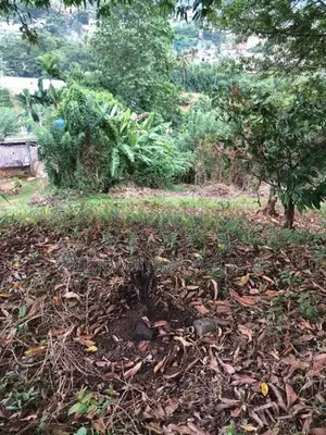 34 P Land for Sale at Tower Road Wariyappola