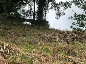 34 P Land for Sale at Tower Road Wariyappola