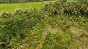 කුරුණෑගල – මාවතගම අබාරේ වැවට මුහුණලා ඉඩමක් සමඟ දෙමහල් නිවසක් විකිණීමට!
