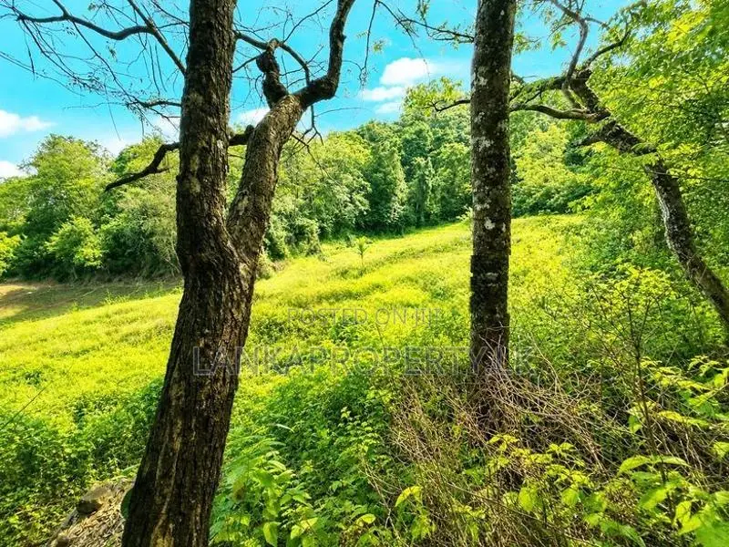 2.5 Acre Scenic Land for Sale at Pambahinnda, Belihuloya.