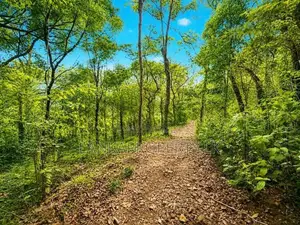 2.5 Acre Scenic Land for Sale at Pambahinnda, Belihuloya.
