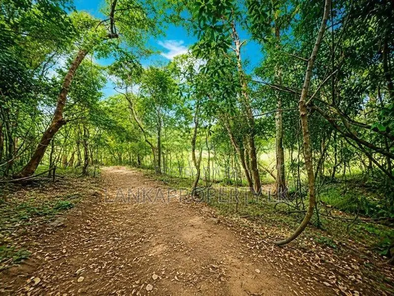 2.5 Acre Scenic Land for Sale at Pambahinnda, Belihuloya.