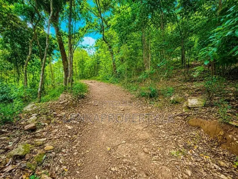 2.5 Acre Scenic Land for Sale at Pambahinnda, Belihuloya.