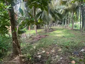 Land For Sale In Kalubowila