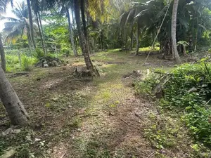 Land For Sale In Kalubowila