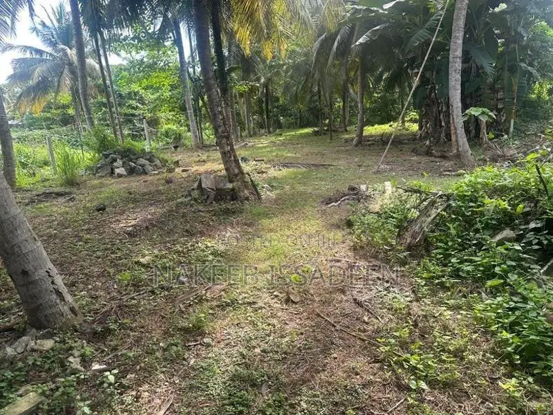 Land For Sale In Kalubowila
