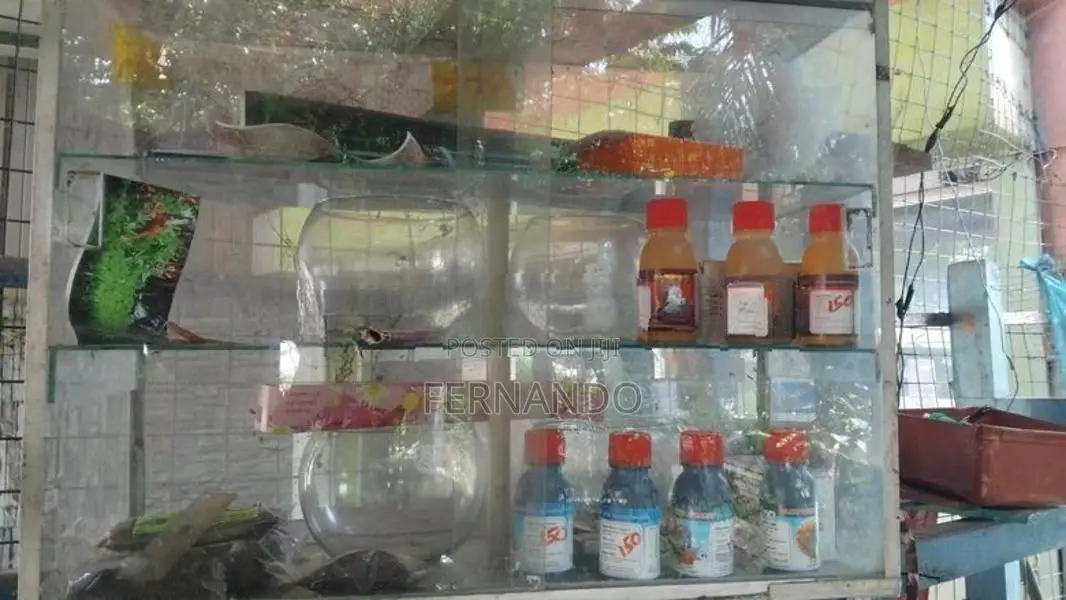 Fish Tanks With Items