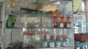 Fish Tanks With Items